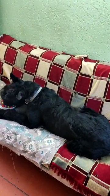 Video.Guru_20240817_172207121