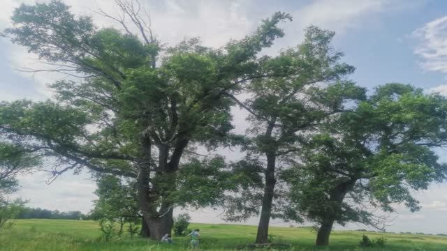 Деревня живёт пока крест не упал