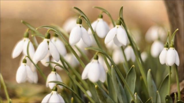 Как получить желаемое за секунду. Секретный метод.