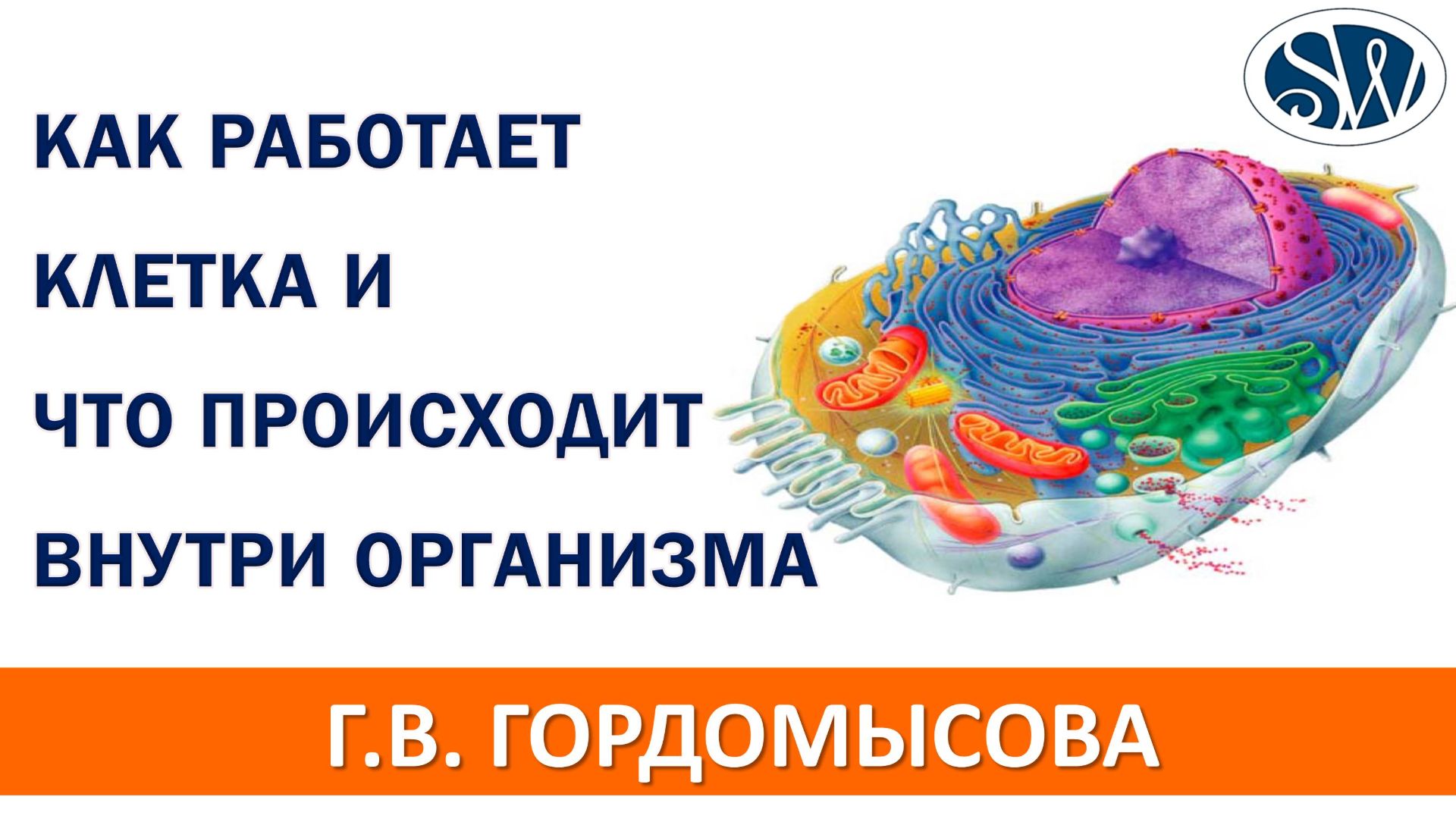 Что происходит внутри организма?