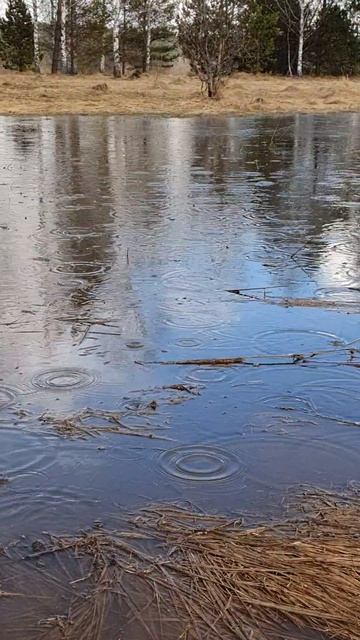 3f95a800e8702effda470bba9a357f1f