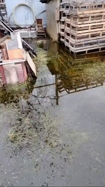 Посёлок Радужный начало топить В Кургане