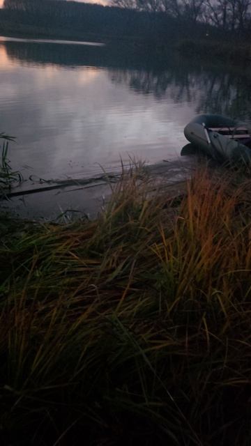 Рыбалка на хищника. Трефиловка.Белгордская область 3 ноября 2025г.