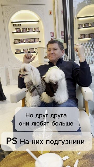 Самая модная порода собак в Китае