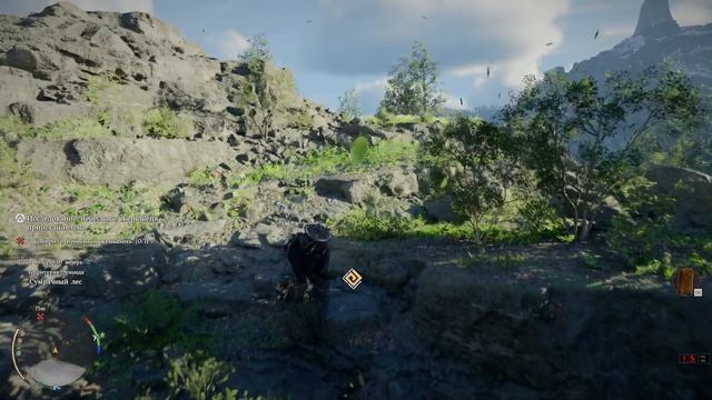 после приостановки квеста небесный жень - шень