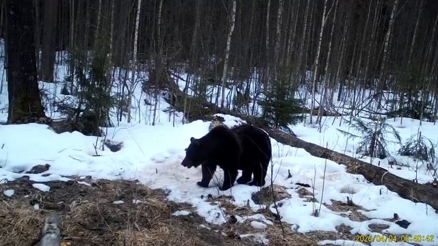 Видео от Телеканал 
