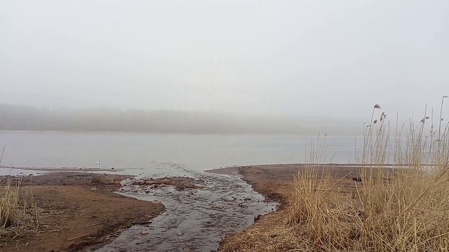 Нейро ВИА - Туман — белый зверь