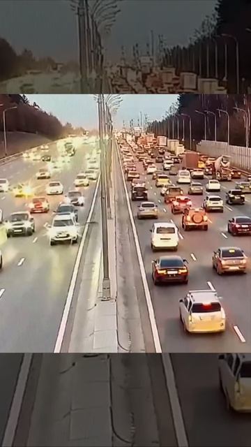 Собачка сбежала от хозяев и едва не погибла на МКАДе под колесами автомобилей

Бедняжка металась, по