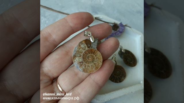 Подвеска аммонит (окаменелая раковина древнего моллюска)