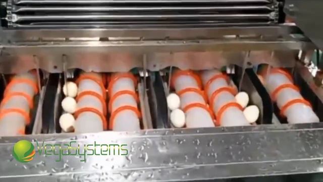 Машина для очистки яиц Вега/Vega Egg Pel H10000