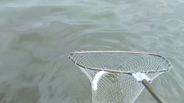 Поимка Форели