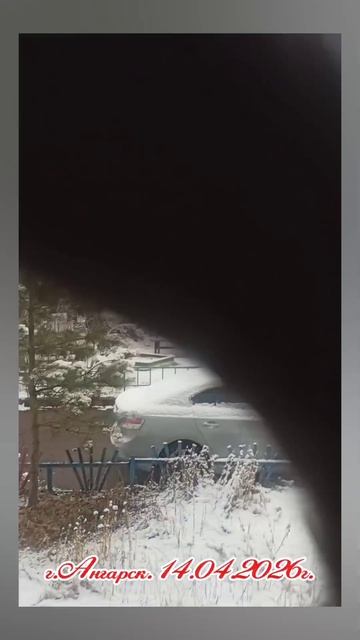 Россия. Сибирь. Ангарск. Доброе утро и ВЕСНА... 😁😁😁 14.04.2026г.