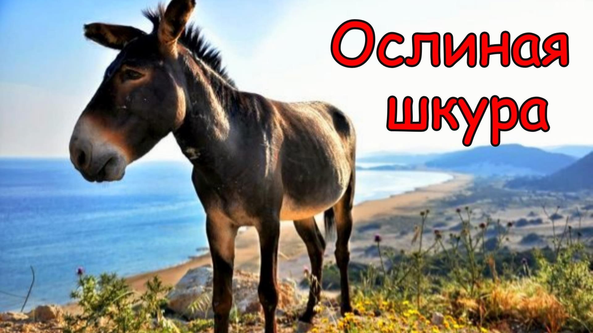 Аудиосказка 