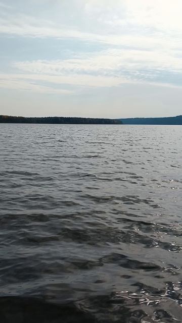 коп и рыбалка 59 регион