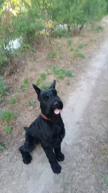 Video.Guru_20240817_171740344