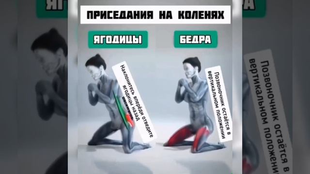 Приседания на коленях