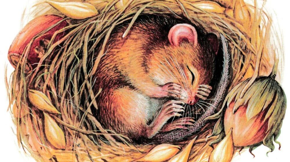 1 трилл юнитов ( Vikings War Of Clans)