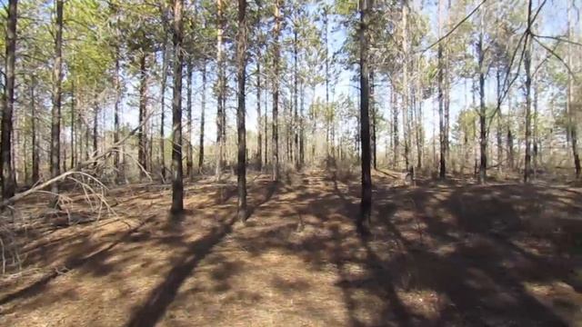 Бродилки от Бродислава  303