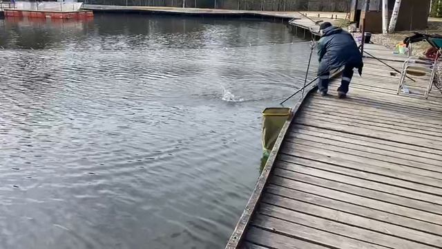 Основной водоём.Поимка Форели