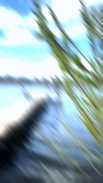 💥Мощь! Сподовые удилища Карсинг Спод от KDF помогут пробиться сквозь сильный ветер!