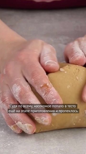 Пряник с сюрпризом нашли в Бишкеке