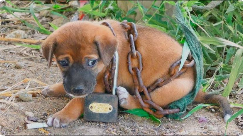 УЖАС!!! ЭТОГО НЕ ДОЛЖНО БЫТЬ НА ЮТУБЕ!