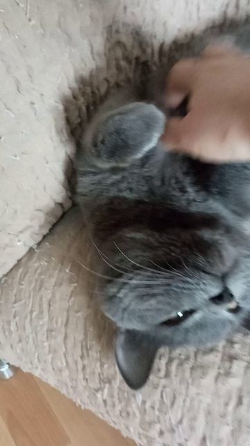 VID_20260414_121908 14.04.2026