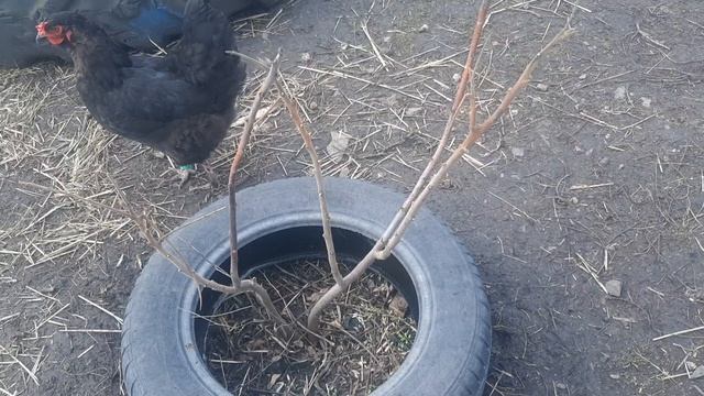 Прогулка по двору. Показала всё, без стыда и угрызения совести 😱!