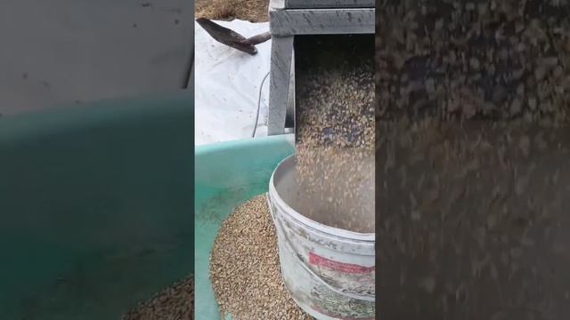 86536f6ca6e112d06709c558decf2711