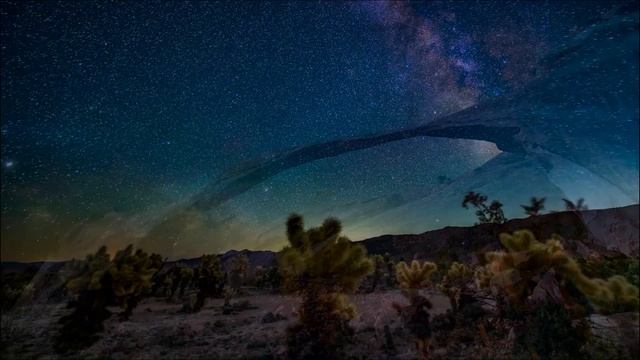 Йога без магии как она реально помогает телу и уму