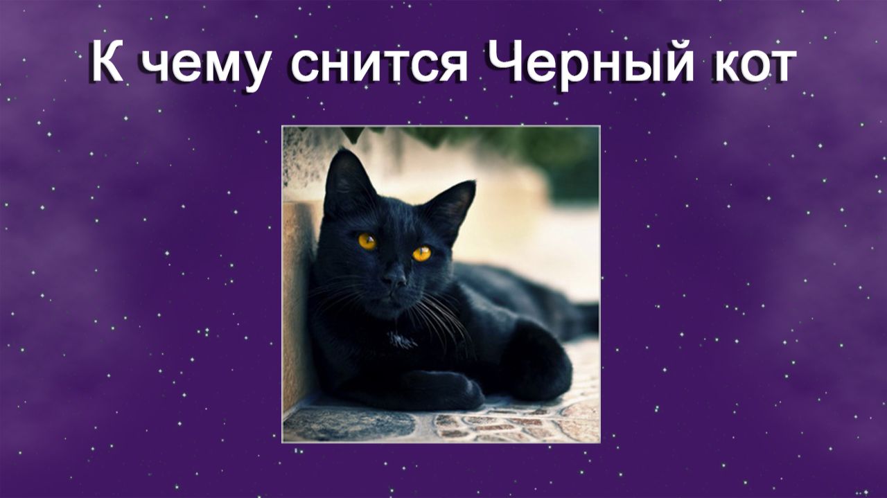 К чему снится Черный кот - толкование сна