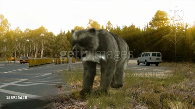 Dinos Our Their World