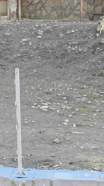 Ec130ebbfd96c7372653e5b827909550