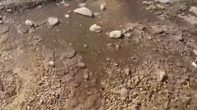 Паромную переправу Павлово — Тумботино временно закрыли