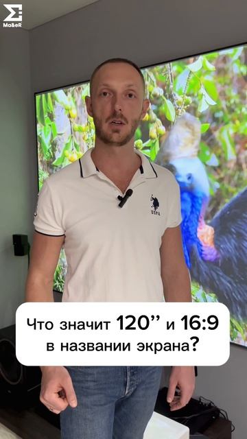 Что значит 120’’ и 16:9 в названии экрана?