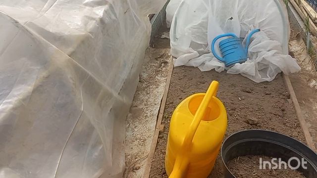 13 апреля 2026 года. В московскую область вернулось тепло... Усё пропало, шеф!)))))