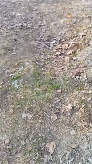 9cc6053373d0f8a58e41fd07dc6966d9