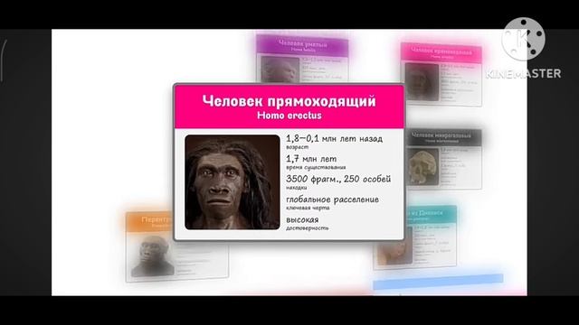 14-04-2026 человек