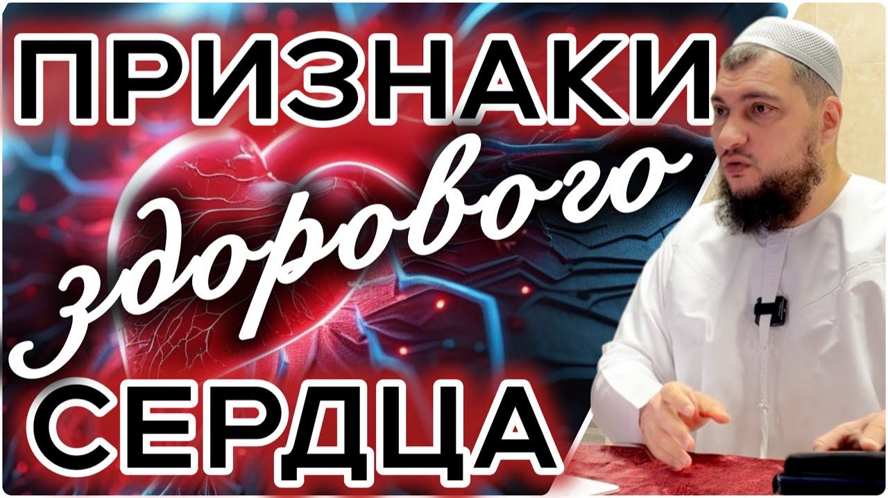 Здоровое сердце - явный успех (Признаки здорового сердца)