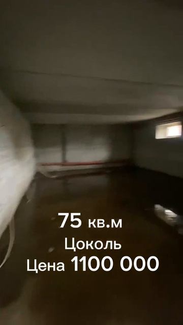 WhatsApp Video 2026-04-10 At 11.19.52