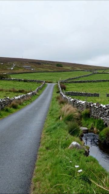 Удивительный путь через живописные поля #природа #пейзаж #поездка