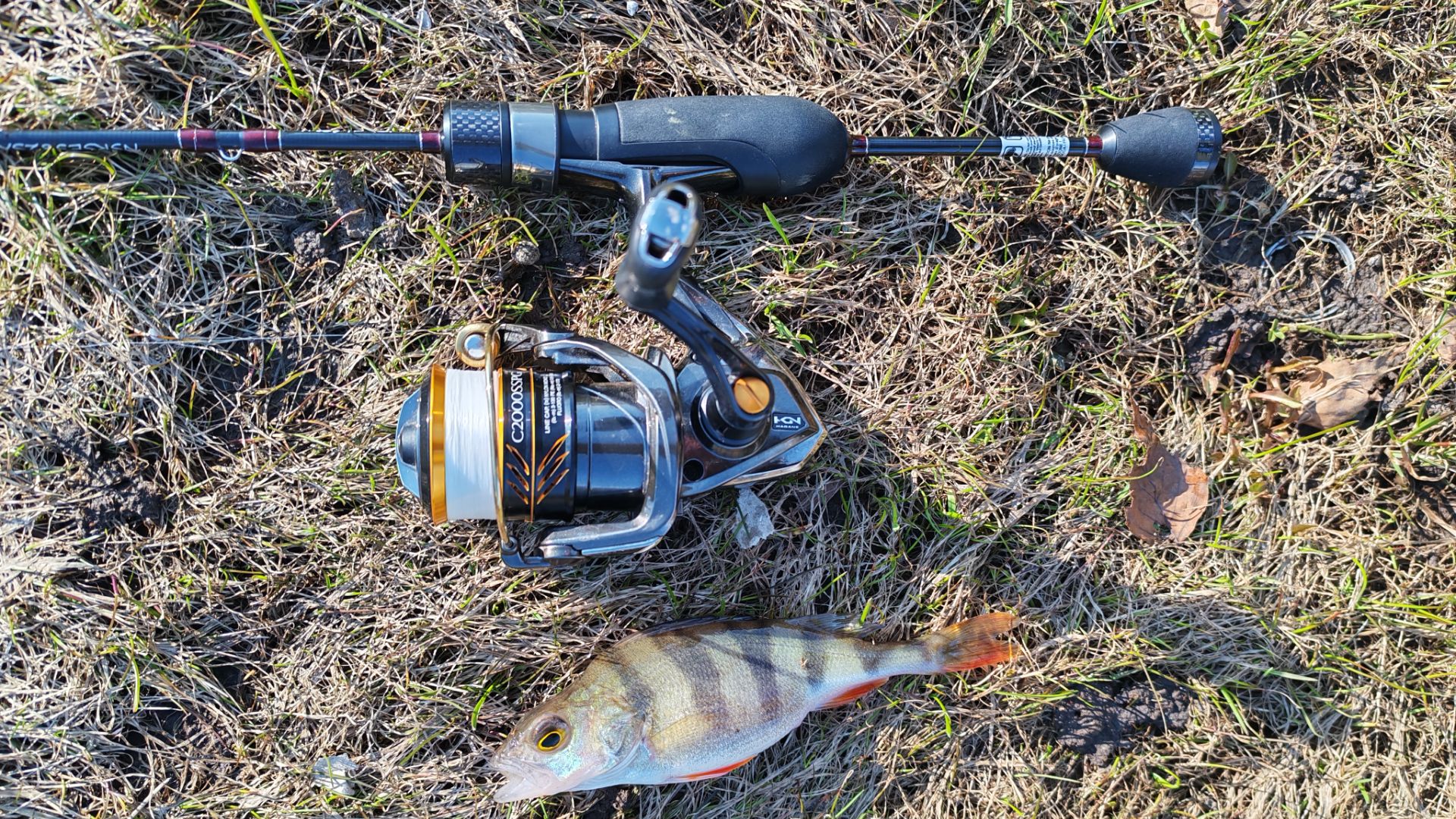 МОРМЫШИНГ. Приток Десны 12 апреля 2026 года