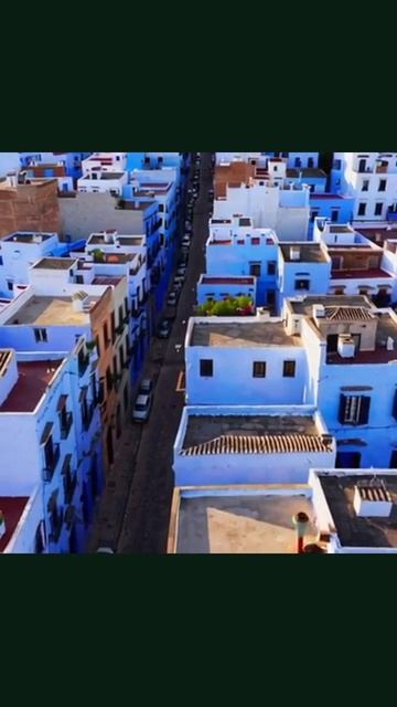 #вау-видео #приключения #видеоарт #вдохновение #эссенцияжизни #удивительныемоменты