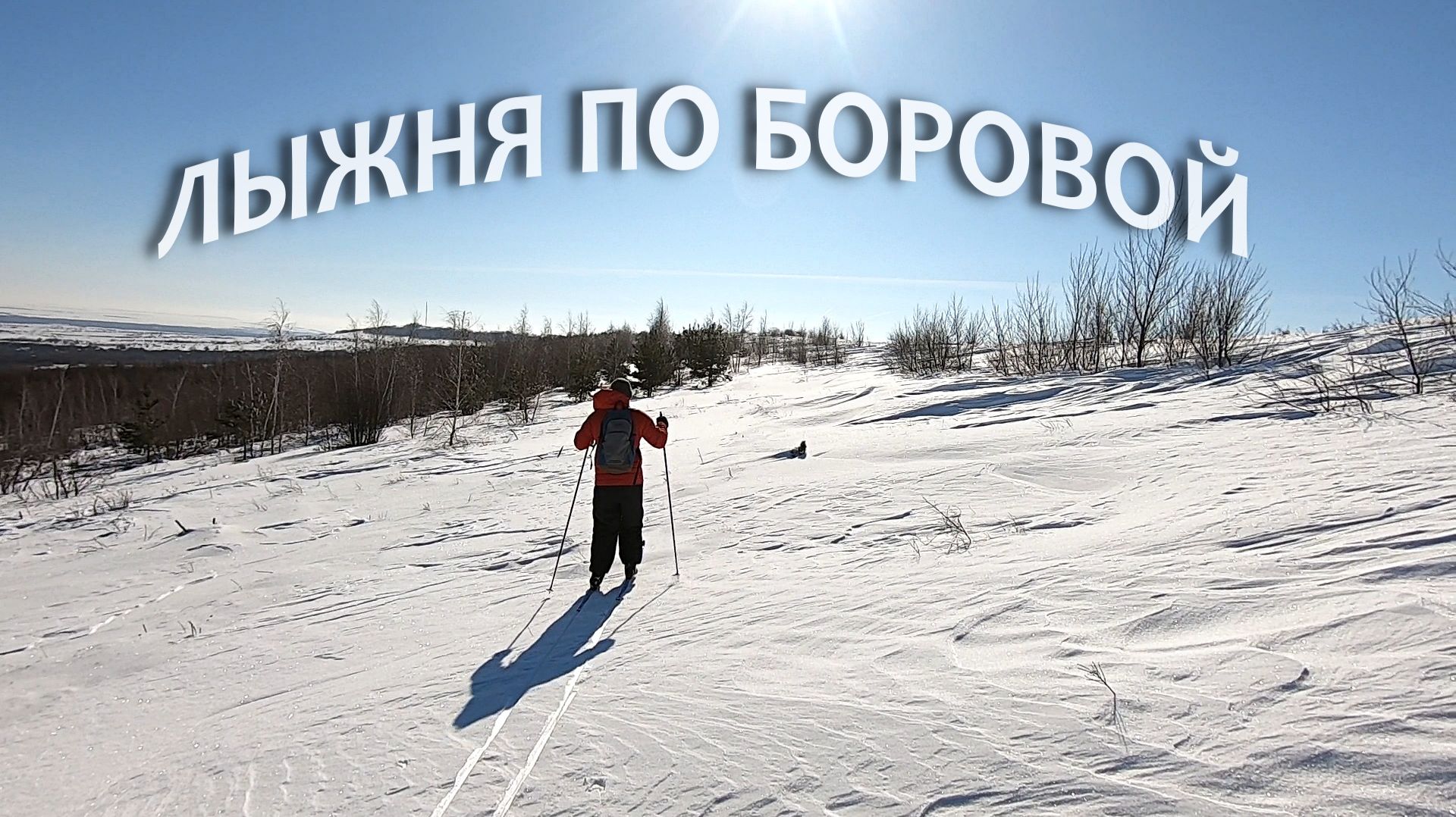 Лыжня по Боровой