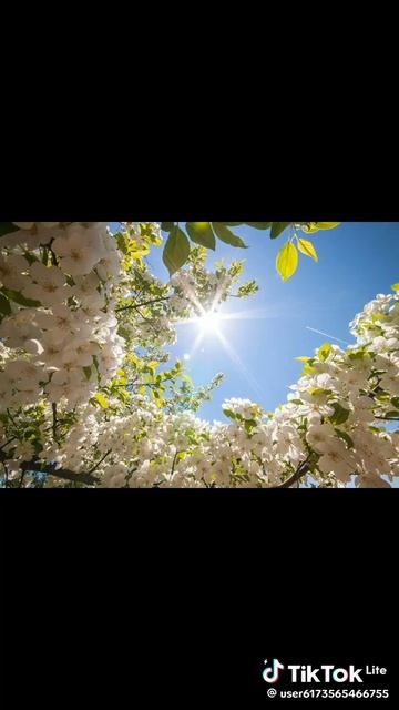 2ef2714a12af1d6b7e23da36fcbe7d0f_1776079333964.mp4