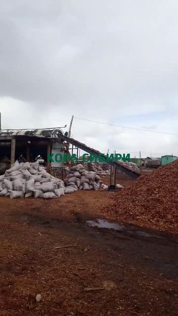 Кора Сибири крупнейший B2B поставщик му́льчи из коры деревьев хвойных пород