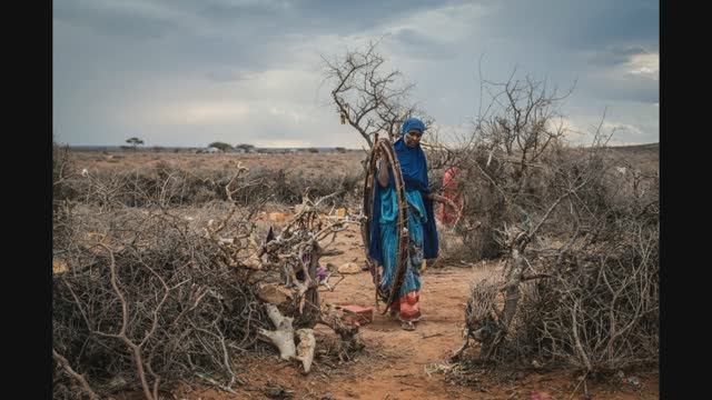 Знакомство с творчеством  Николь Собецки