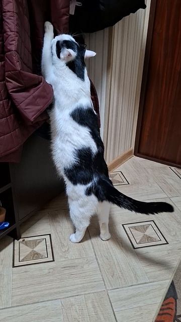 Что-то учуял💯