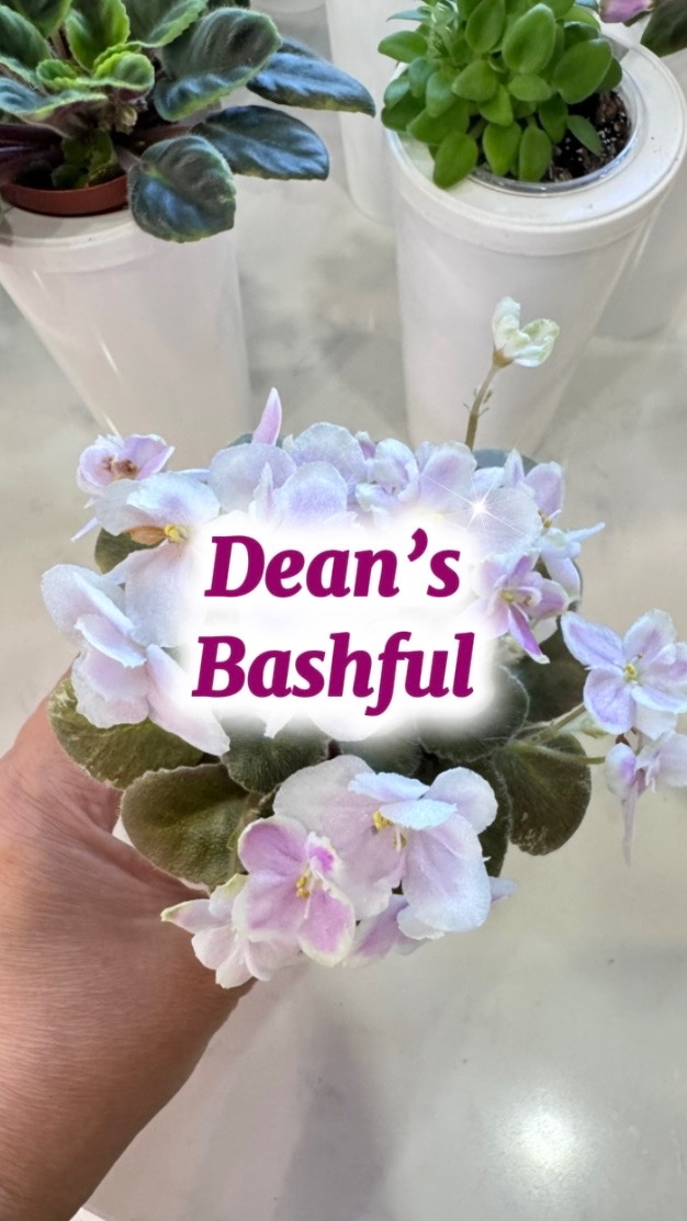 092df064c82b548846147f7751e496b3