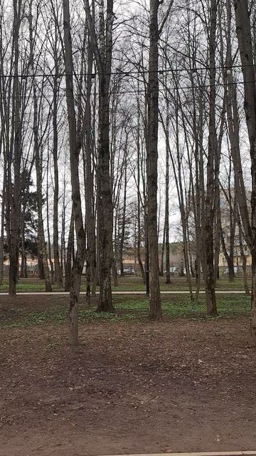 Весенние пение птиц 
 Часть 2